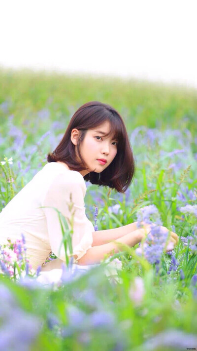 iu 李知恩「花书签2」手机壁纸