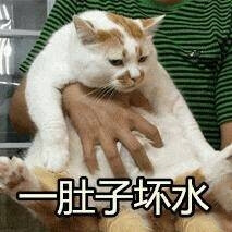 楼楼呕吐表情包