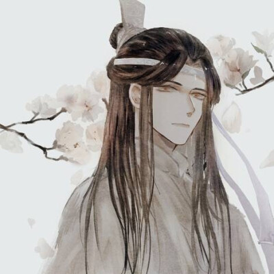 【侵删】天天就是天天魏无羡 蓝忘机 魔道祖师 cp头像@桉仔码头