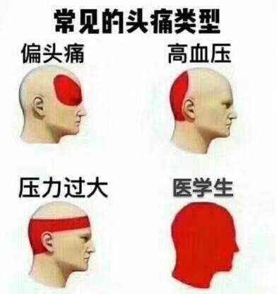 就很医学生啊:)