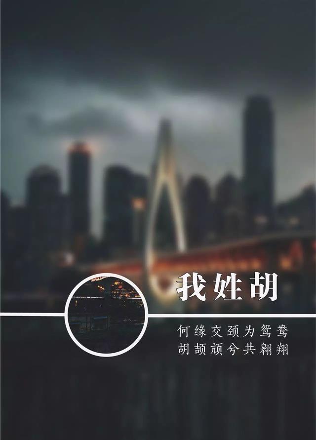 我姓胡