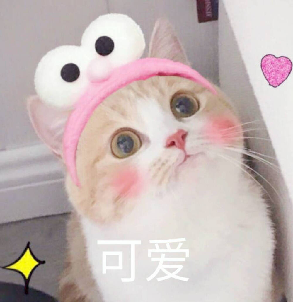 2018年8月9日 14:27   关注  可爱 猫咪 表情包 评论 收藏