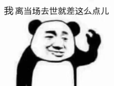 可爱的表情包能动