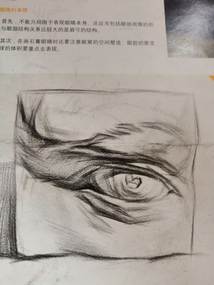 石膏部位 素描 画画 艺术美术