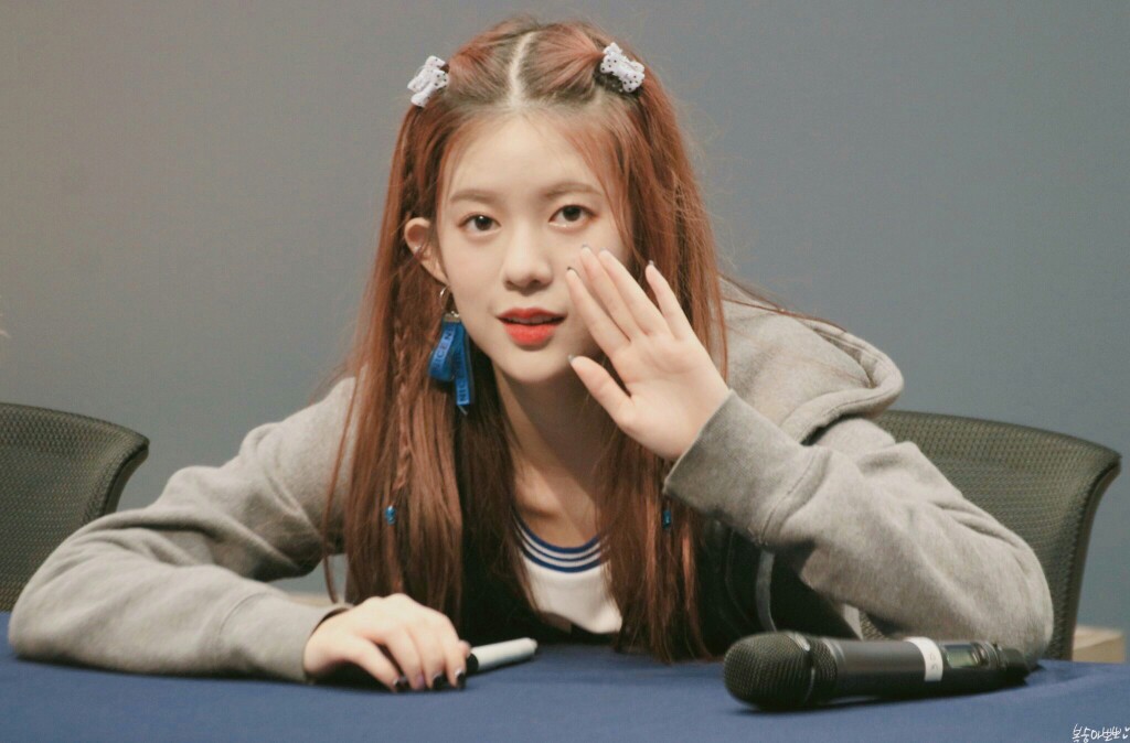 momoland daisy