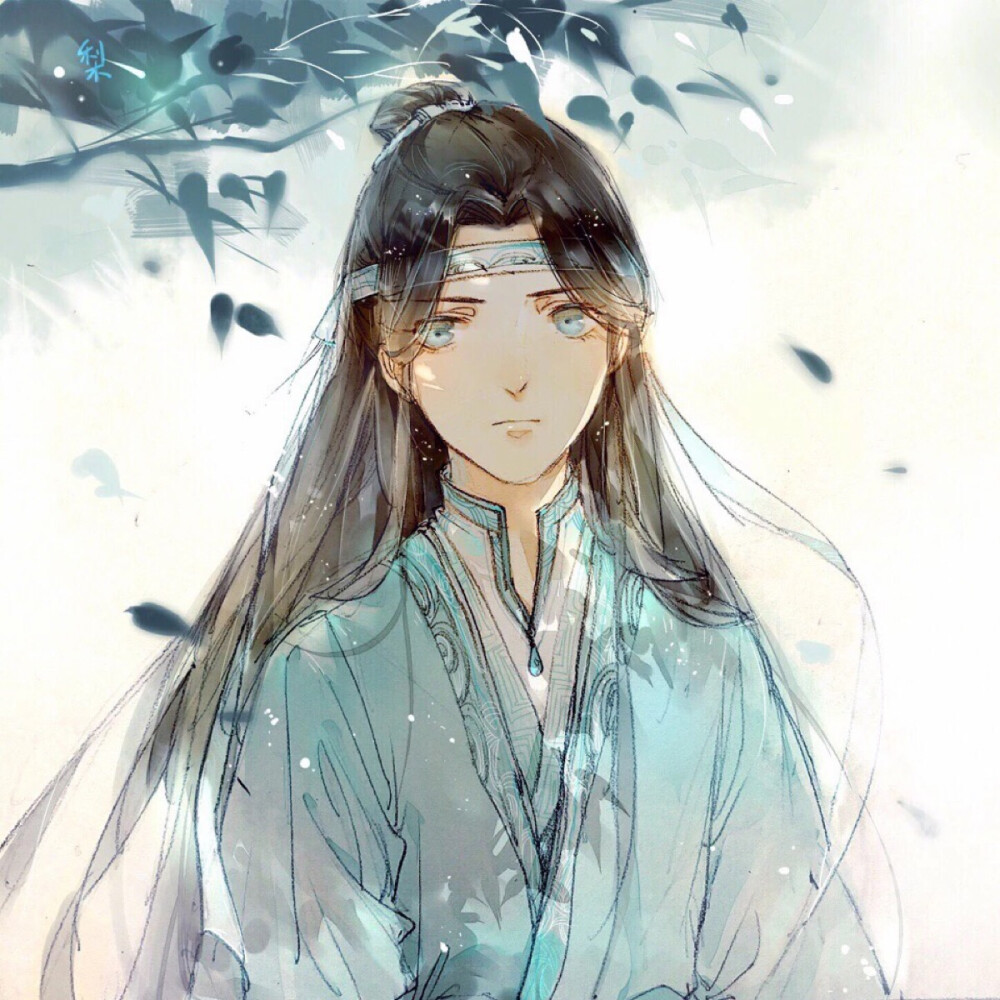 蓝思追 