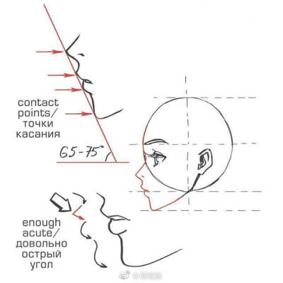 收集   点赞  评论  #绘画参考# 【初学者向】绘制面部侧面的一些