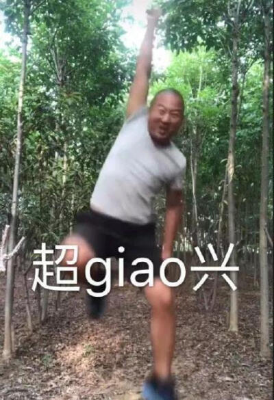 斗图必备表情包 giao哥表情包 一点要安排到位!