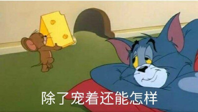 表情包 | 猫和老鼠