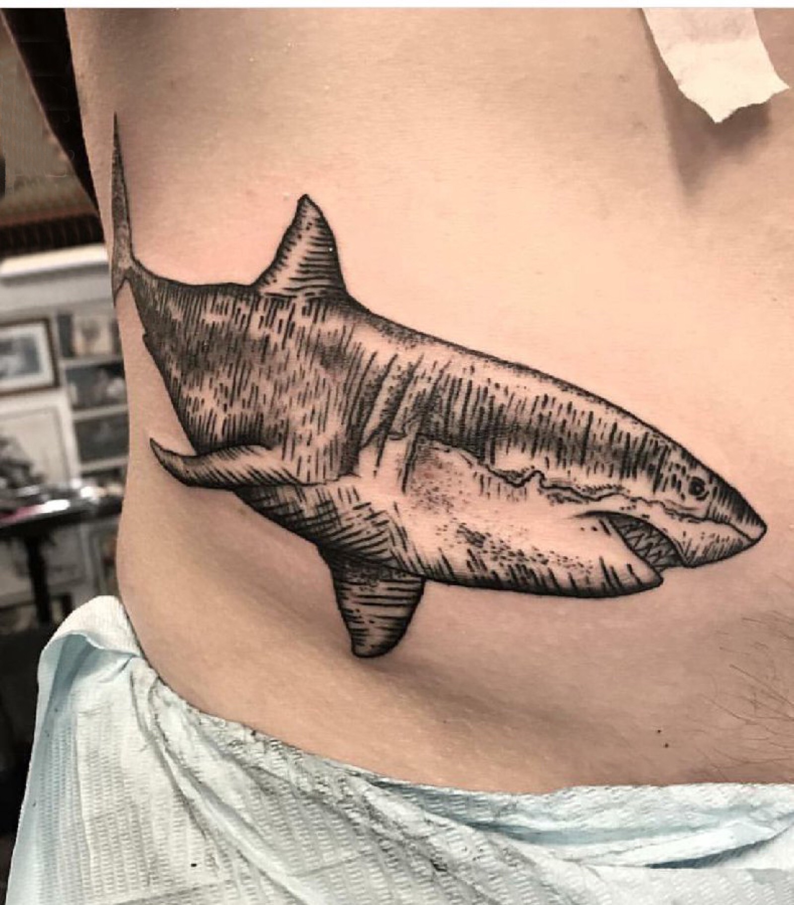 鲨鱼纹身