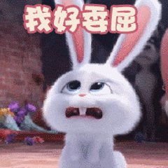 表情包爱宠大机密