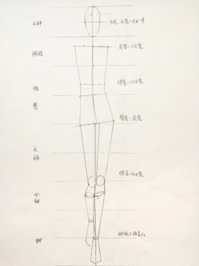 人体比例画