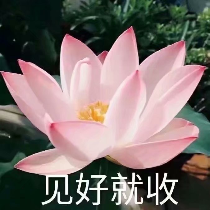 佛系/划掉沙雕表情包