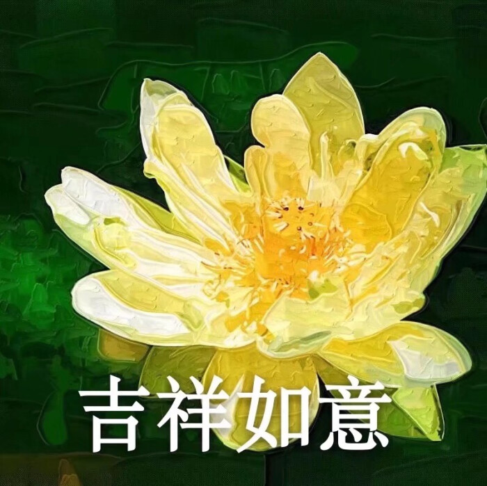 沙雕团头 气质荷花