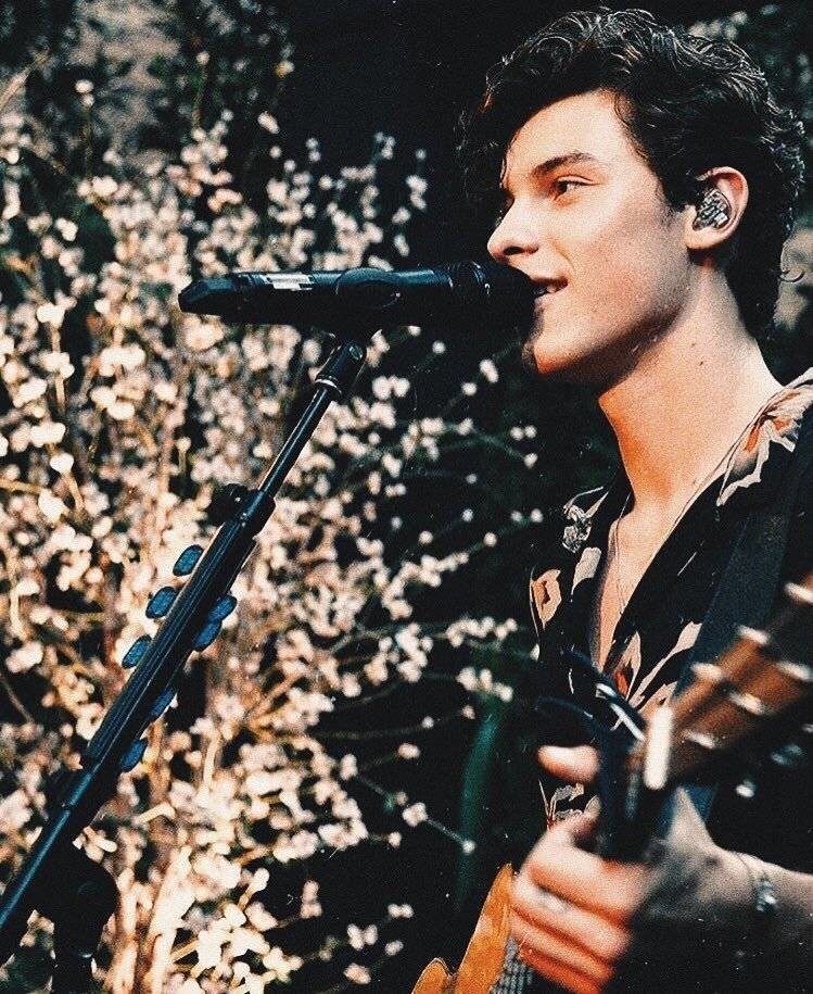 shawn mendes