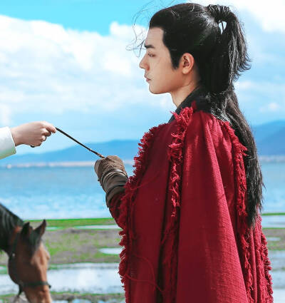 狼殿下,李沁肖战.