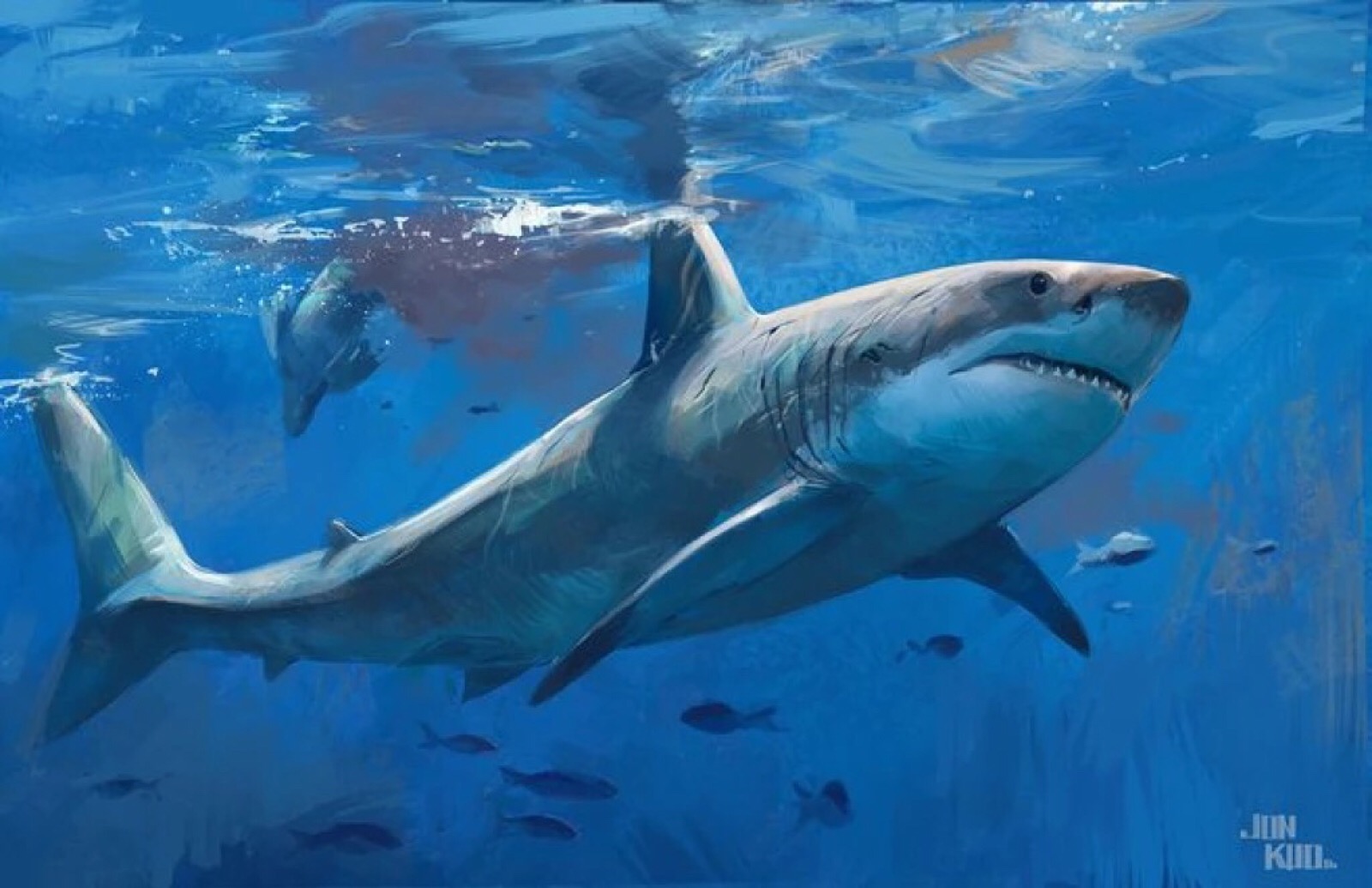海洋中游动的大白鲨高清电脑壁纸-壁纸下载-www.pp3.cn