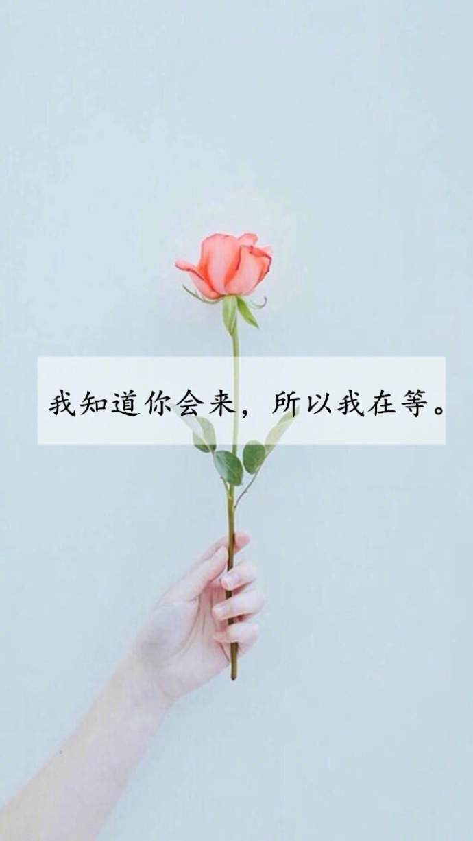 你装作刀枪不入的样子,就要做好被万箭穿心的准备.