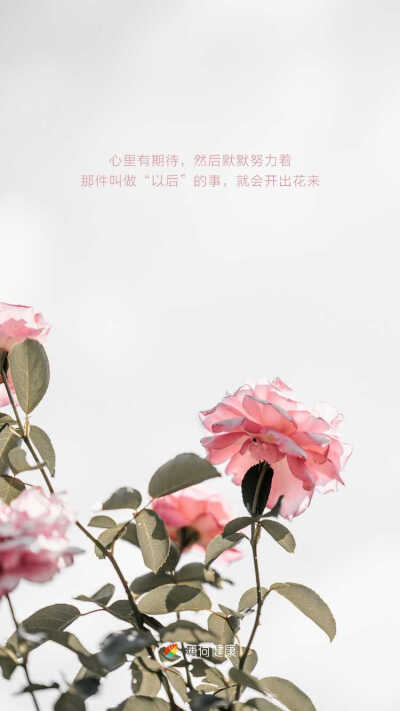 心里有期待,然后默默努力着那件叫做"以后"的事,就会开出花来
