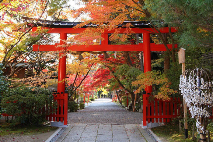 素材 日本风景 园林神社寺庙 堆糖 美图壁纸兴趣社区