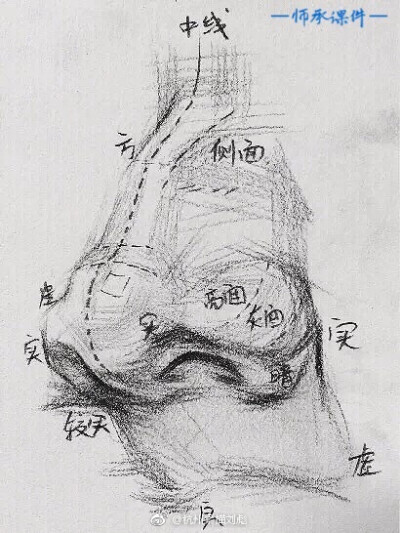 鼻子形体结构分析一波 #手绘插画教程#(via 杭州素描刘彪 )