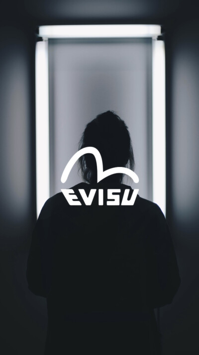 evisu wallpaper