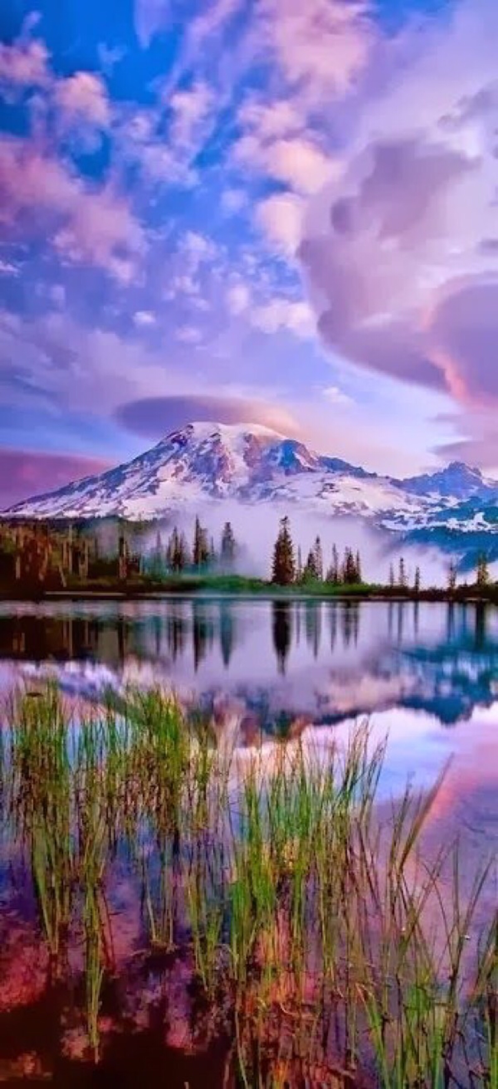 风景