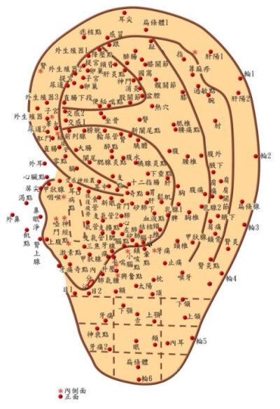 我压的耳朵穴位,就是参照人体x型平衡法上压的(400_584竖版 竖屏