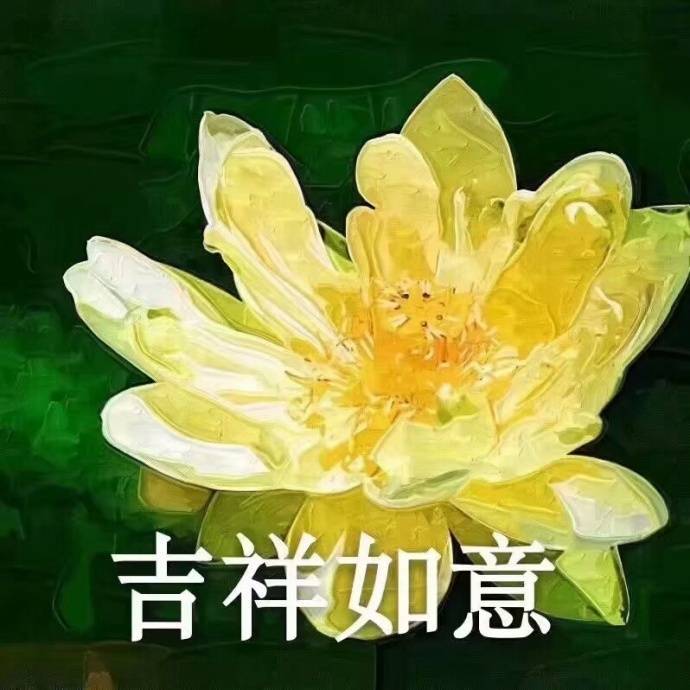 中老年沙雕头像