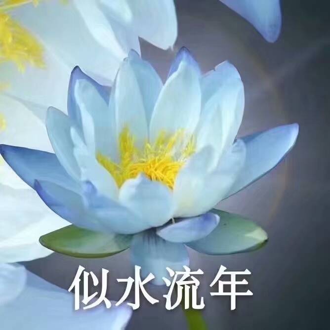 中老年/沙雕头像