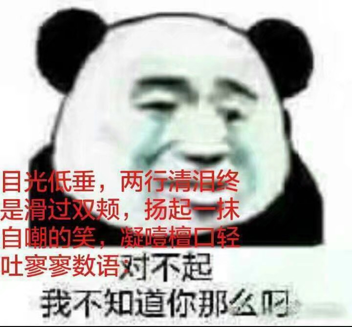 语c表情包