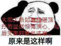 语c表情包