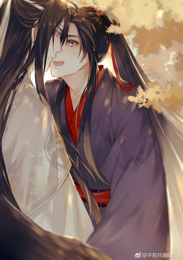 魔道祖师忘羡