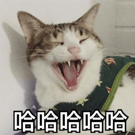 每次射手座在我身边哈哈哈哈哈哈哈哈哈大笑的时候,我都要提醒他们