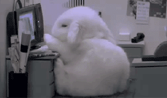 玩电脑的我