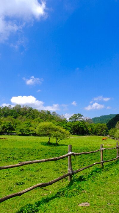 草地蓝天背景 - 堆糖,美图壁纸兴趣社区