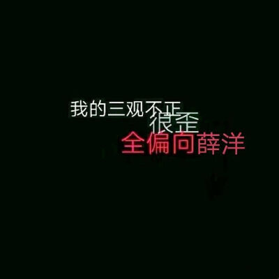 三观不正 全偏薛洋