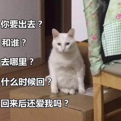 出去干嘛什么时候回来