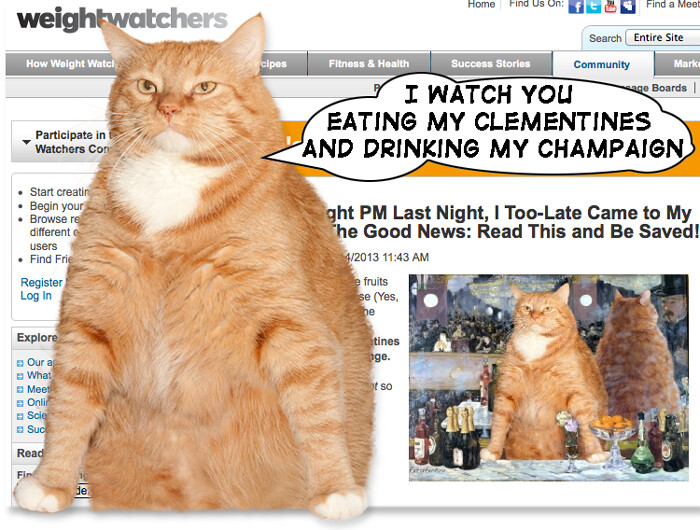 5fat-cat-watches-your-weight