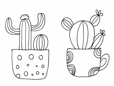植物小盆栽绘画
