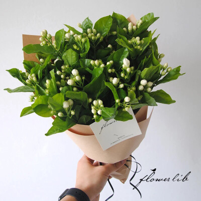 茉莉花花束