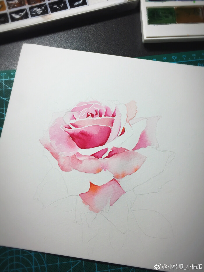 分享一朵花的水彩过程,颜料:mg, 纸:获多福细纹 #水彩画教程#(作者