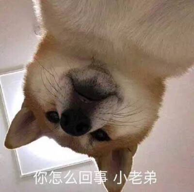 沙雕情头