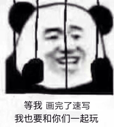 美术生表情包