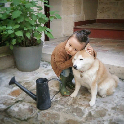 柴犬 女孩