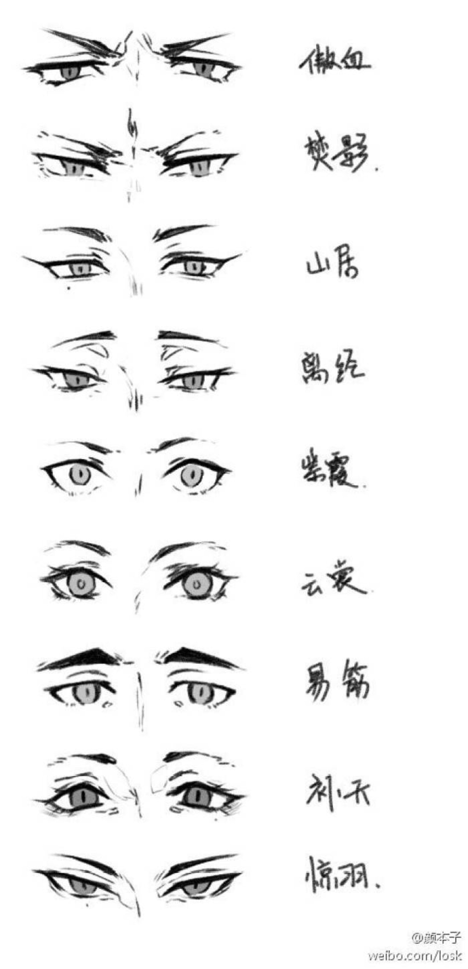 眼睛的类型部分分析 | 长沙湘雅附二孙杨科普 - 知乎