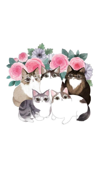 手工 小清新 森系 猫咪 可爱