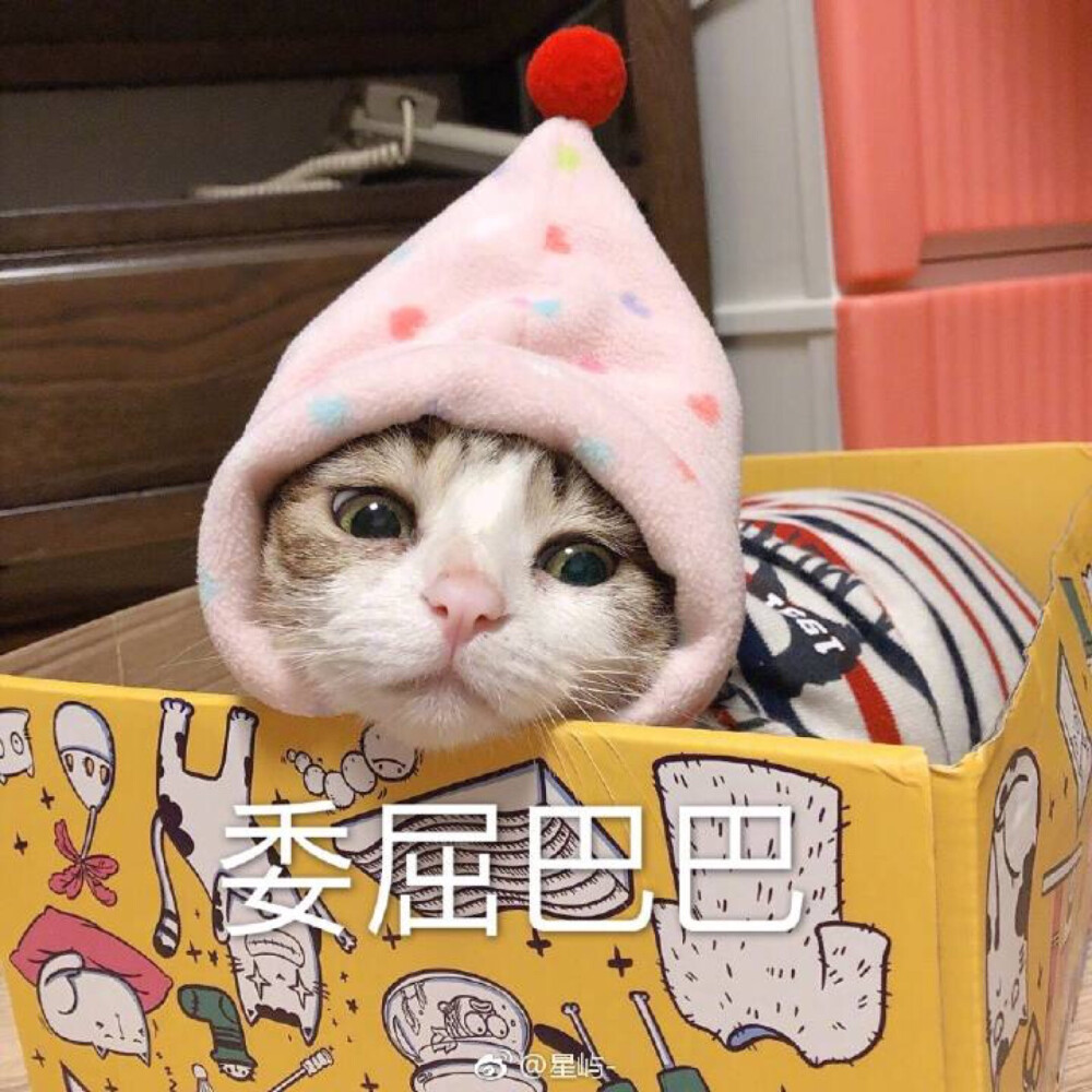 委屈巴巴 猫表情包