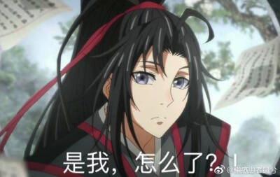 魔道祖师表情包 (含天赐 渣反 杀破狼)