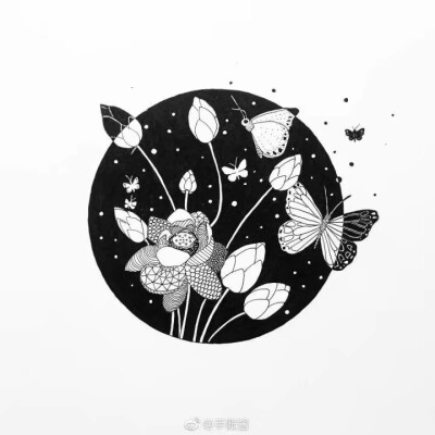 黑白画,线描